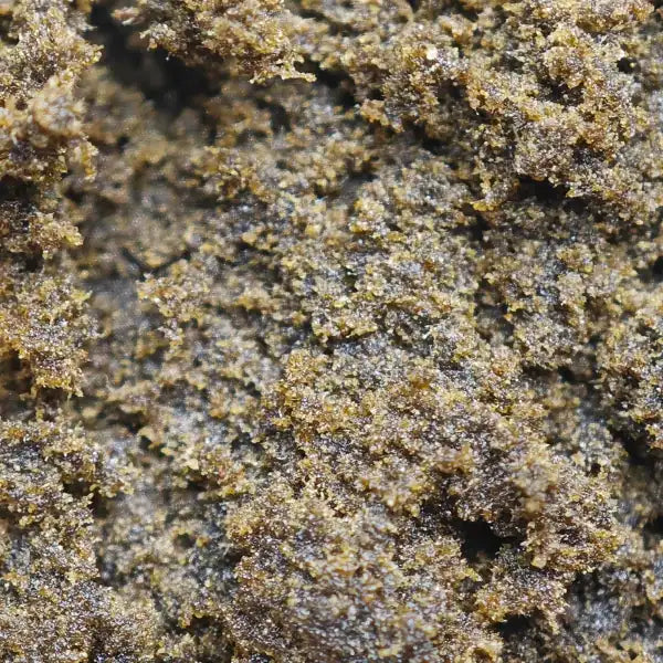 Gros plan sur la résine de CBN 28%, une résine puissante et riche en cannabinoïdes. Produit premium chez Amsterdam Quality