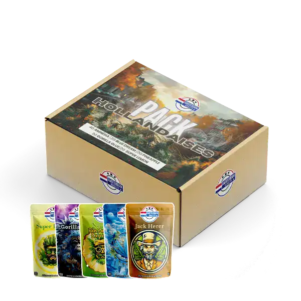 Pack de fleurs CBD hollandaises Amsterdam Quality, avec une sélection de variétés réputées cultivées en Indoor et Greenhouse. Qualité premium et arômes intenses.