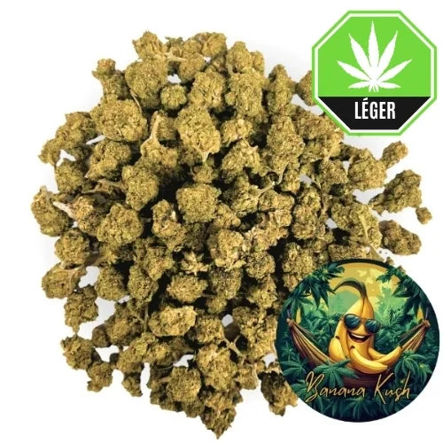 Small Buds Banana Kush