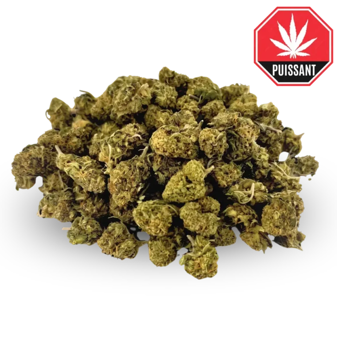 Small buds Mix