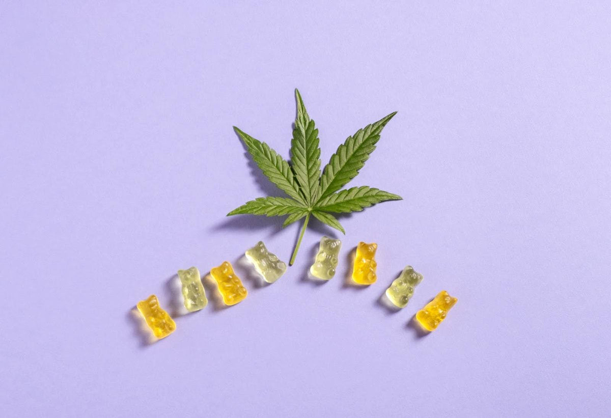 Quels sont les effets des bonbons au CBD sur le corps et l’esprit ?