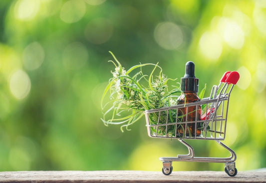 Guide du Meilleur Site CBD (2026): 10 Meilleures Boutiques de CBD en Ligne en France