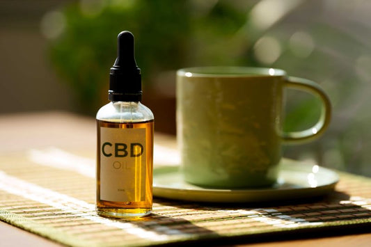 Le système endocannabinoïde : comment le CBD agit dans le corps