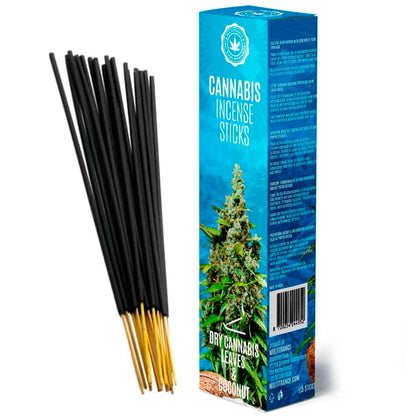 cannabis-incense-sticks-dry-cannabis-leaves-and-coconut
