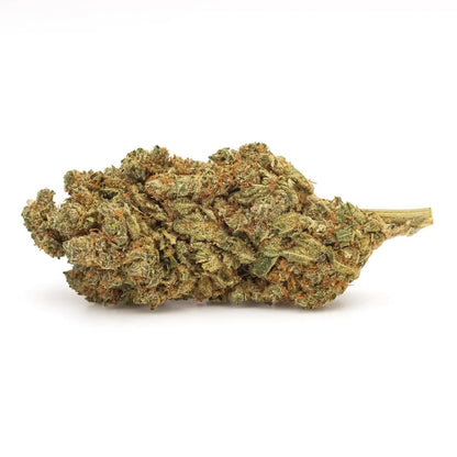 Bud de fleurs CBD Sour Diesel, Indoor, par Amsterdam Quality. Nuances vert clair et pistils orange, arôme intense de citron et de carburant.