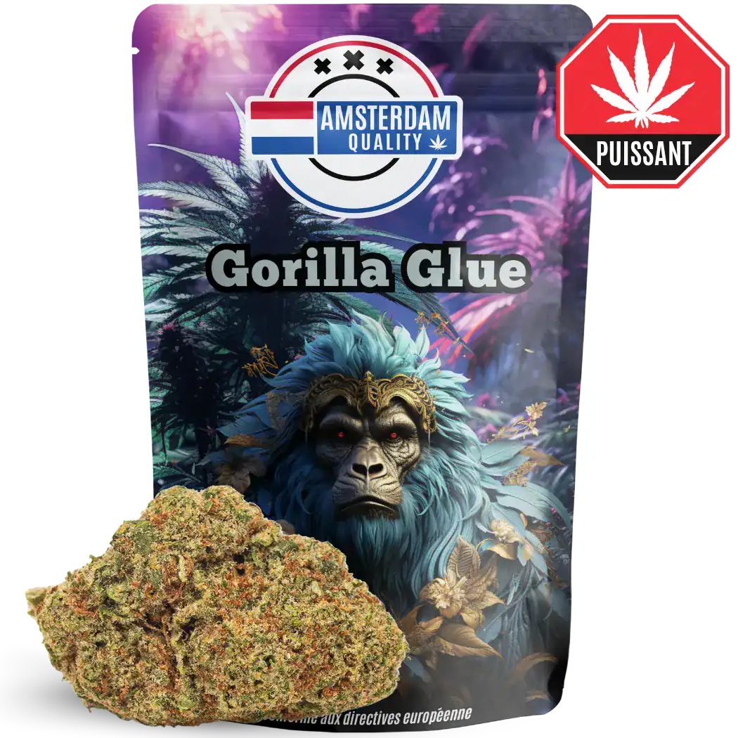 gorilla glue cbd amsterdam-quality