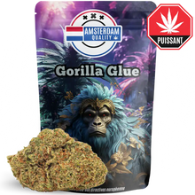 gorilla glue cbd amsterdam-quality