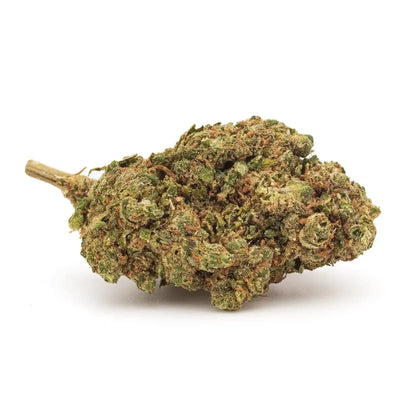 Fleur CBD Jack herer premium – Amsterdam Quality