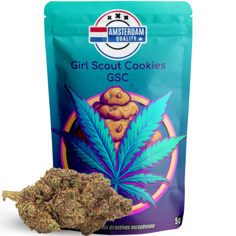 Sachet de 5g de fleurs CBD Girl Scout Cookies (GSC) de la marque Amsterdam Quality. Variété gourmande aux notes sucrées et terreuses, issue d’une culture indoor. Riche en CBD, avec un taux de THC légal.