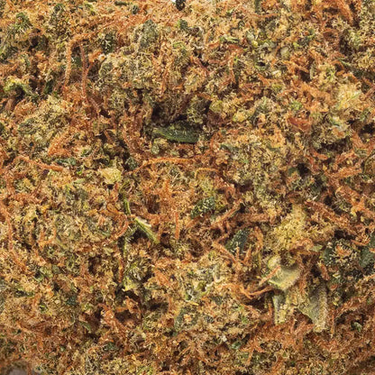 Zoom sur la fleur CBD premium White Widow, mettant en avant son épaisse couche de trichomes et sa texture résineuse.