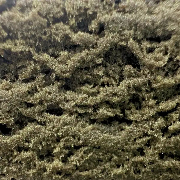 dry sift cbd amnesia amsterdam quality gros plan