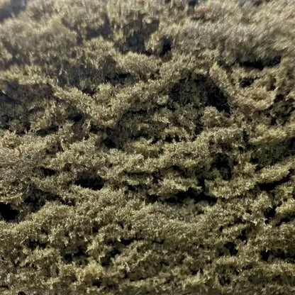 dry sift cbd amnesia amsterdam quality gros plan