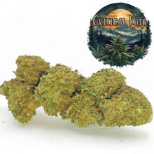 Fleur CBD Critical Kush cultivée en Glasshouse, reconnue pour ses arômes épicés et boisés. Produit riche en CBD avec des fleurs compactes et résineuses, issu des sélections Amsterdam Quality.