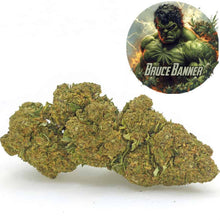 Fleur de CBD Bruce Banner cultivée en Glasshouse, offrant des notes terreuses et fruitées. Fleurs denses avec des teintes vert vif et une haute teneur en CBD, sélectionnées par Amsterdam Quality.