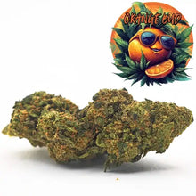 Fleur CBD Orange Bud issue de culture Glasshouse, reconnue pour ses saveurs zestées et fruitées. Fleurs compactes avec des pistils orangés, riches en CBD et triées par Amsterdam Quality.