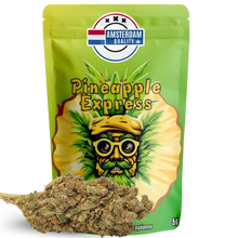 Fleurs CBD premium Pineapple Express, variété Indoor aux saveurs tropicales d’ananas et d’agrumes. Effet énergisant et relaxant, idéal pour soulager le stress. Taux de THC inférieur à 0,3 %, conforme aux normes françaises.