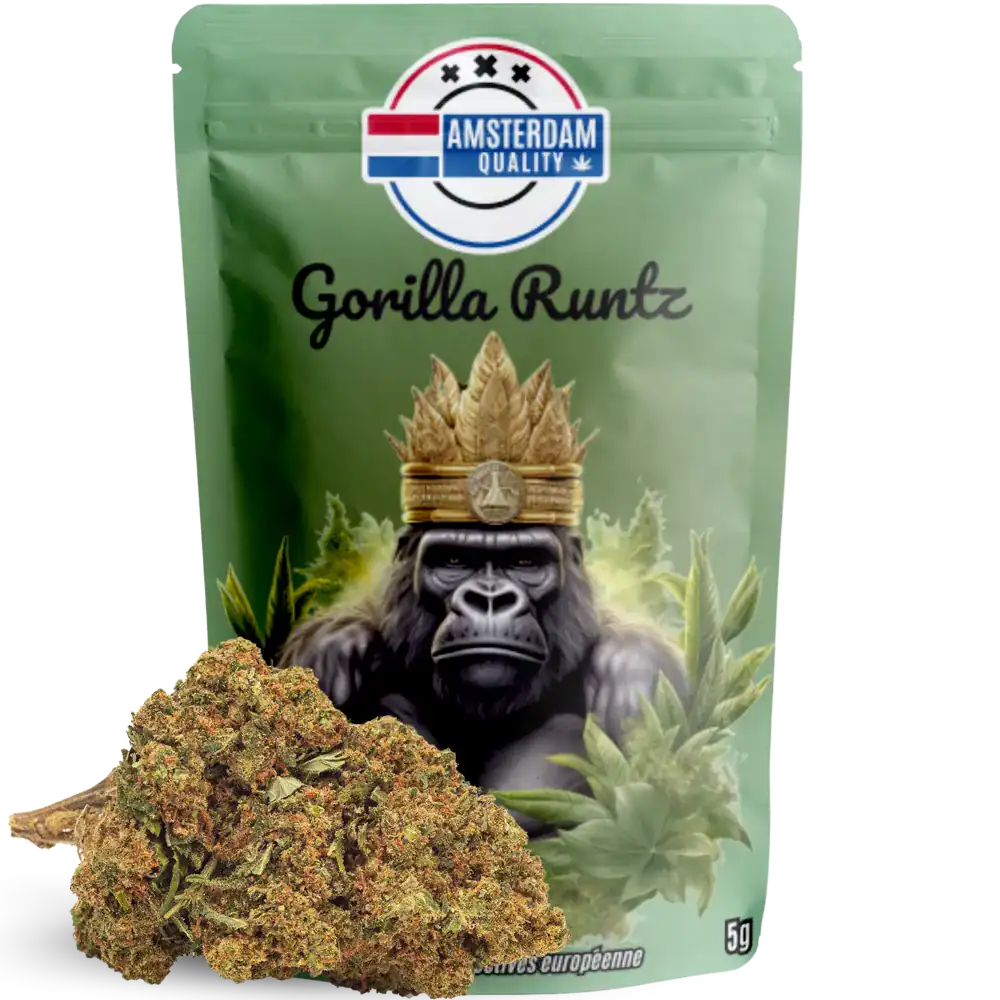 Fleur CBD Gorilla Runtz - Indoor - Amsterdam Quality. Variété hybride premium avec arômes sucrés et terreux, taux de THC < 0,3%.