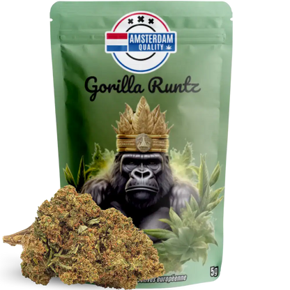 Fleur CBD Gorilla Runtz - Indoor - Amsterdam Quality. Variété hybride premium avec arômes sucrés et terreux, taux de THC < 0,3%.