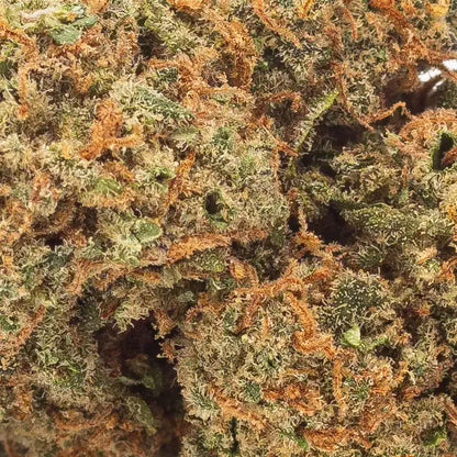Détail trichomes Fleur CBD Blue dream - Indoor - Amsterdam Quality. Texture résineuse, arômes banane et agrumes, taux de THC < 0,3%.