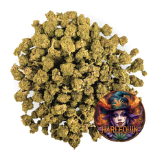 Small bud de CBD Harlequin sur fond transparent avec un logo illustré, mettant en avant une variété riche en cannabinoïdes.