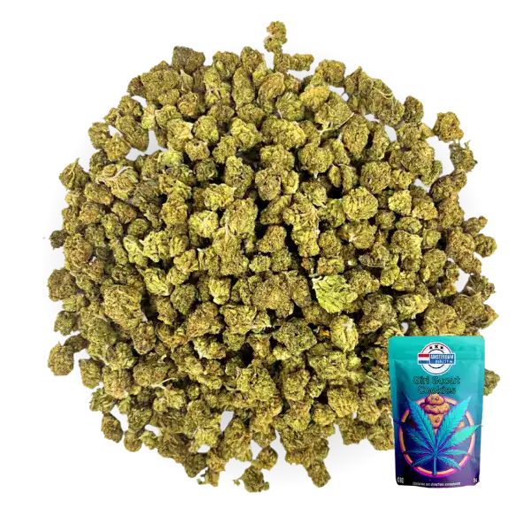 Petit bourgeons de fleurs CBD Girl Scout Cookies en vrac, accompagnés d’un sachet de 5g pour une meilleure visualisation.