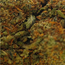 Fleur CBD Gelato Glasshouse, goût sucré et crémeux, relaxation puissante à petit prix.