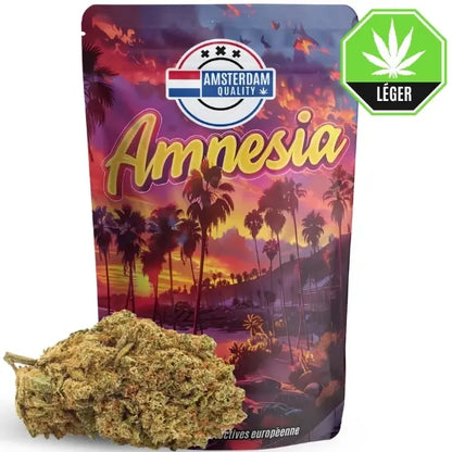 Amnésia