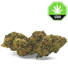 Orange Bud