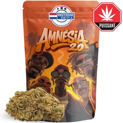 OFFERT - 2g Small Buds Amnésia 2.0