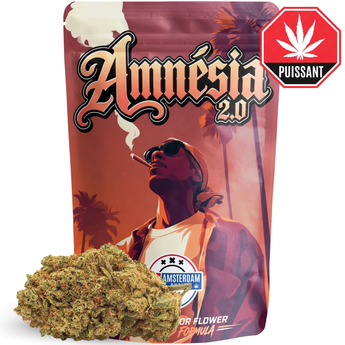 Amnésia 2.0