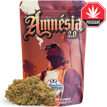 Amnésia 2.0