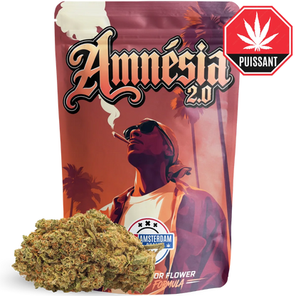 Amnésia 2.0