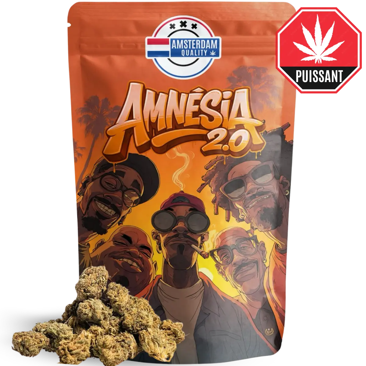 Small buds Amnésia 2.0