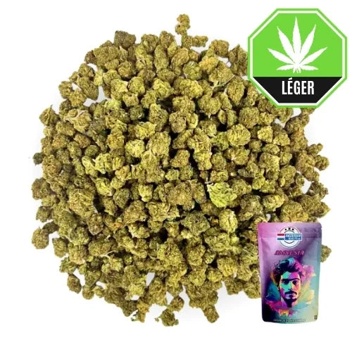 Small Buds Amnesia