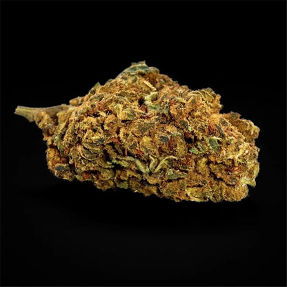 Apple Fritter