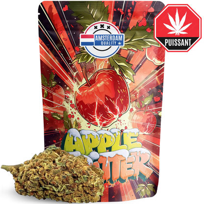 Apple Fritter