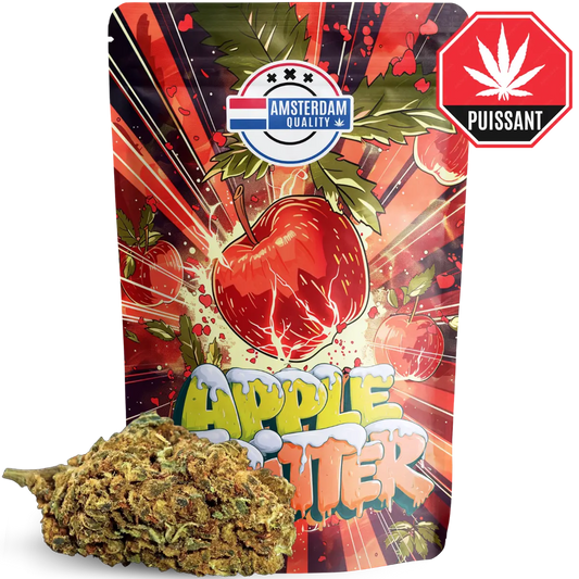 Apple Fritter