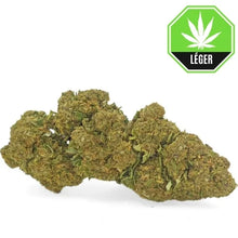Bruce Banner