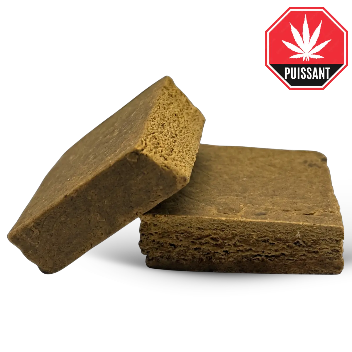 Gelato H