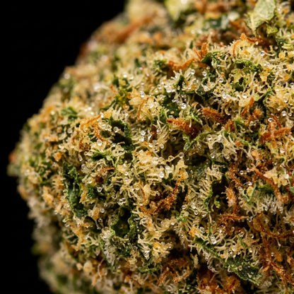 Gorilla Glue #4 🇳🇱