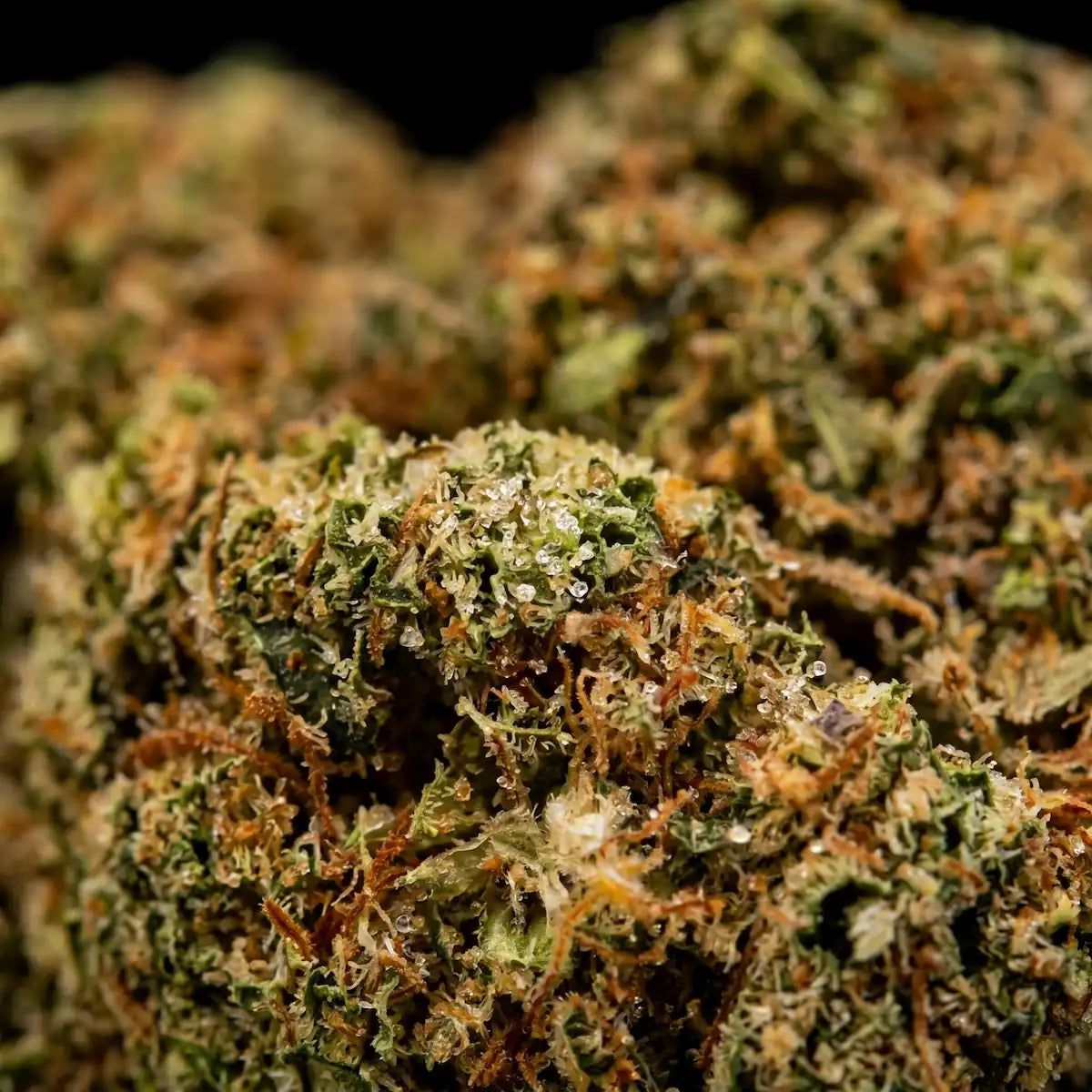 Lemon Haze