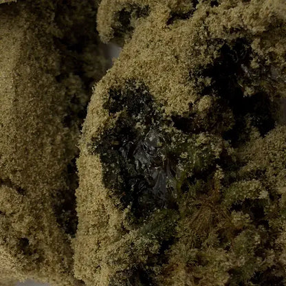 Moon Rock