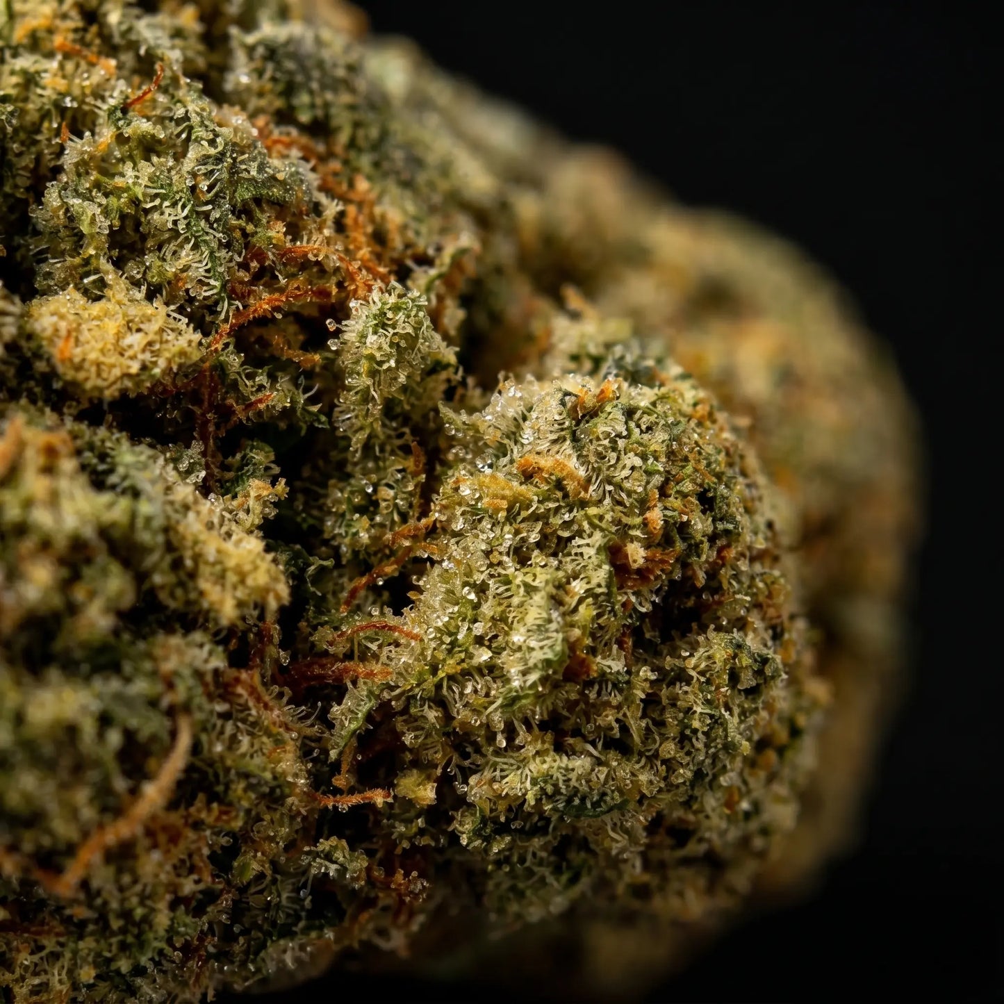 OG Kush