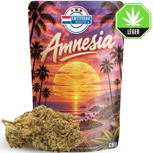 Sachet de CBD Amnesia Amsterdam Quality