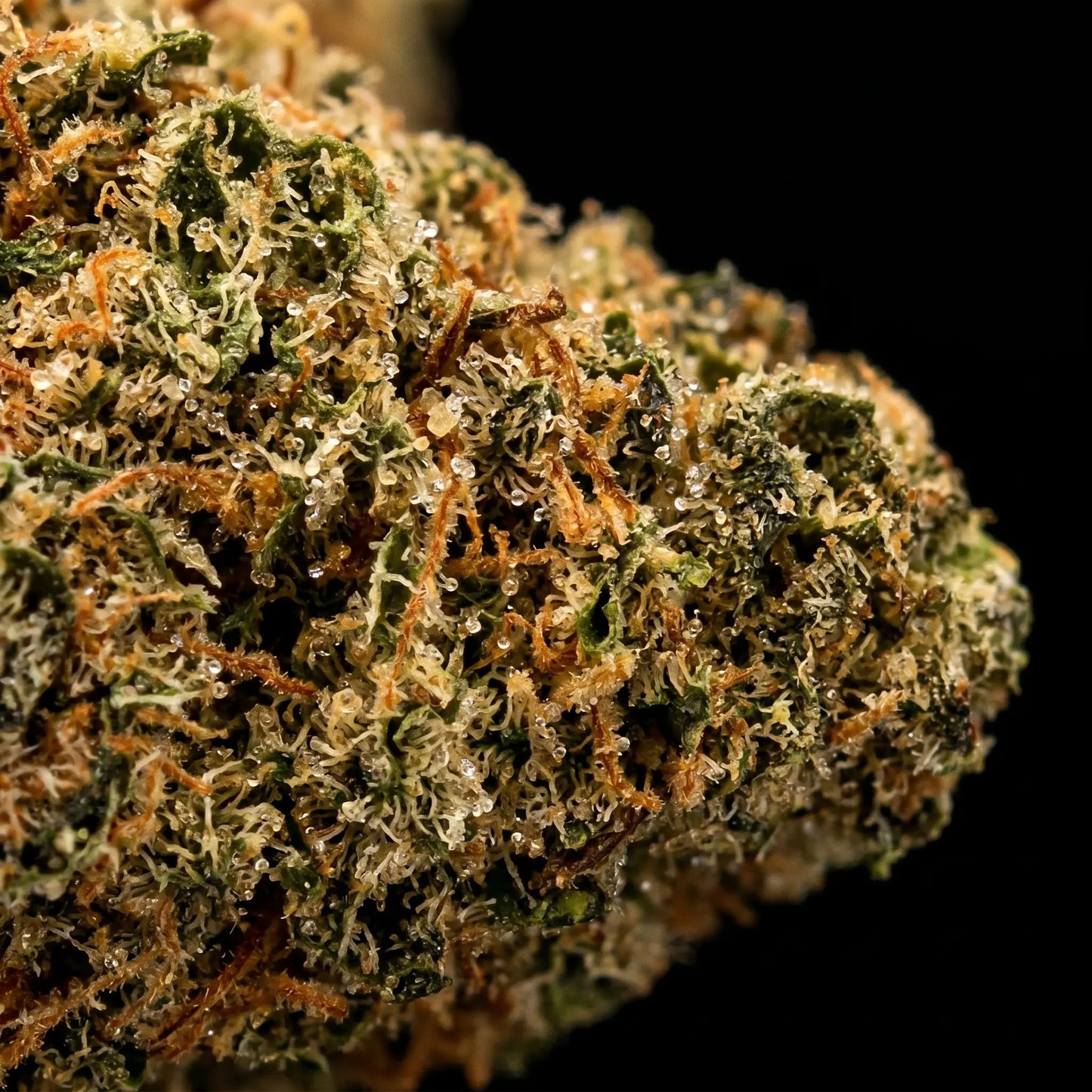 Super cheese
