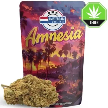 Amnésia 🇺🇸