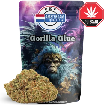 Gorilla Glue #4 🇳🇱