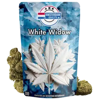 Vue de la fleur de CBD hollandaise White Widow d'Amsterdam Quality avec son emballage