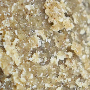 Résine CBD Static, texture friable et effet puissant, issue d’un tamisage à sec pour préserver tous les terpènes – Amsterdam Quality