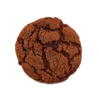 Vue rapprochée d’un cookie au chocolat noir, riche en éclats de chocolat, avec une texture légèrement croustillante et un intérieur moelleux.